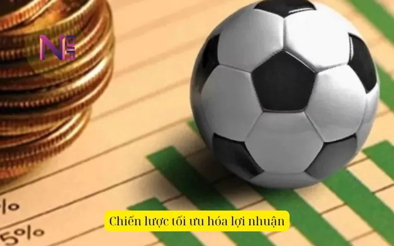 Chiến lược tối ưu hóa lợi nhuận