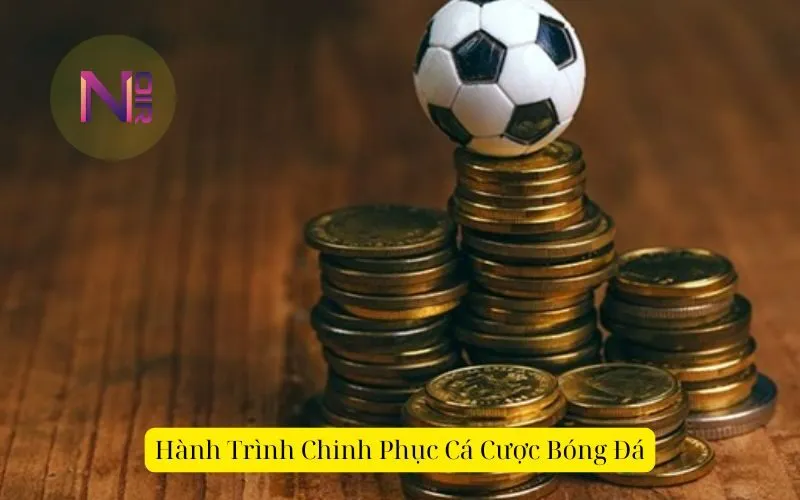 Hành Trình Chinh Phục Cá Cược Bóng Đá