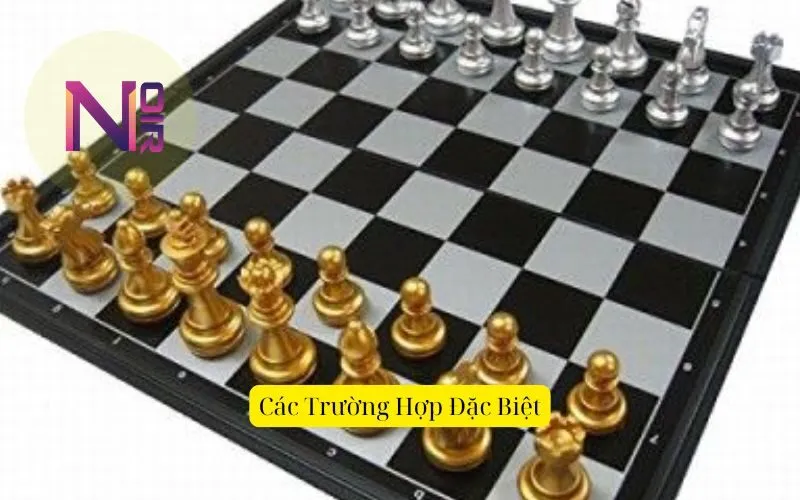 Các Trường Hợp Đặc Biệt