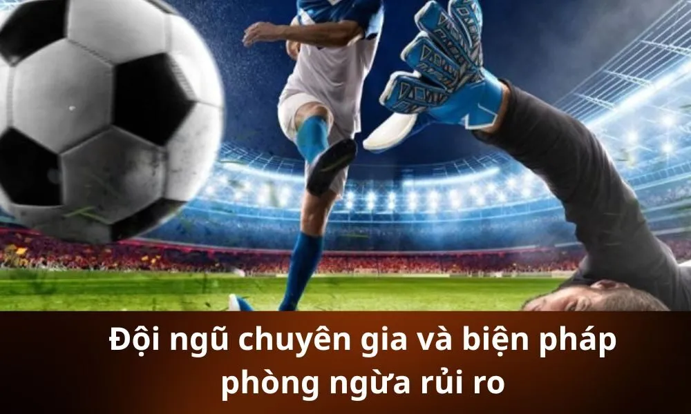 Đội ngũ chuyên gia và biện pháp phòng ngừa rủi ro