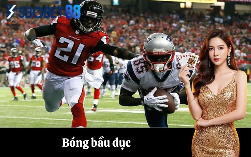 Bóng bầu dục