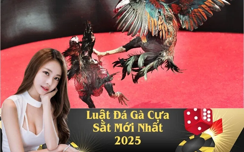 Luật Đá Gà Cựa Sắt Mới Nhất 2025