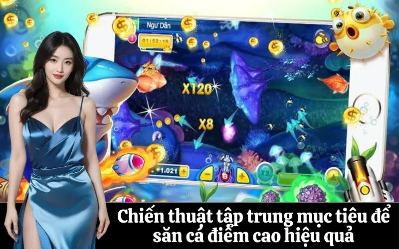 Chiến thuật tập trung mục tiêu để săn cá điểm cao hiệu quả